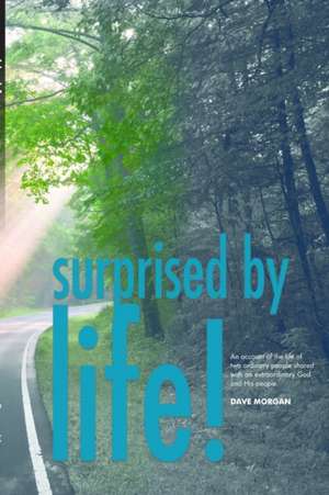 Surprised By Life de Dave Morgan