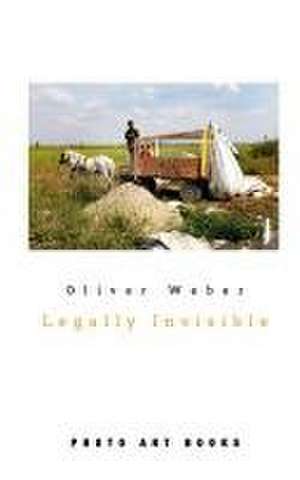 Legally Invisible de Oliver Weber