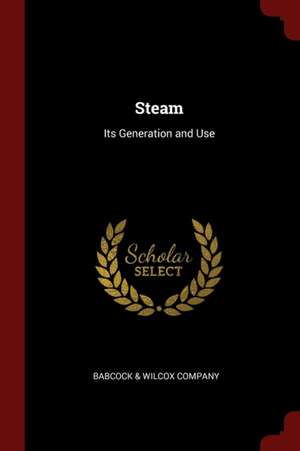 Steam: Its Generation and Use de Babcock & Wilcox Co