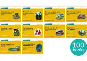 Read Write Inc. Phonics: Yellow Set 5 More Storybooks (Pack of 100) de Ruth Miskin