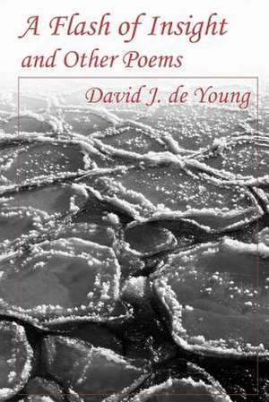 A Flash of Insight and Other Poems de de Young, David J.