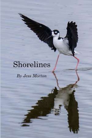 Shorelines de Jess Morton