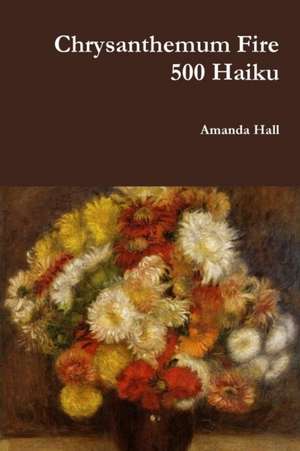Chrysanthemum Fire de Amanda Hall
