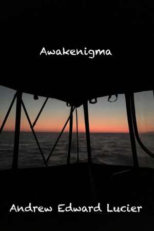 Awakenigma Allegory Anomalous de Andrew Edward Lucier