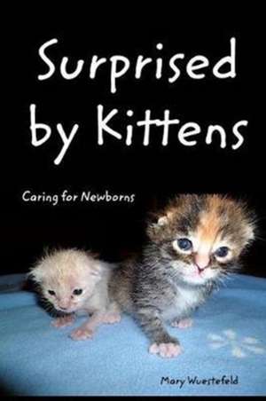 Surprised By Kittens de Mary Wuestefeld