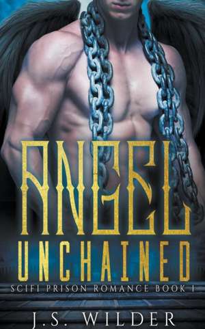 Angel Unchained de J S Wilder