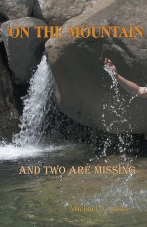 On the Mountain and Two Are Missing de Michael A. Susko