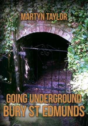 Going Underground: Bury St Edmunds de Martyn Taylor