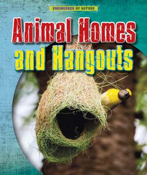 Animal Homes and Hang-outs de Louise Spilsbury