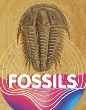 Fossils de Keli Sipperley