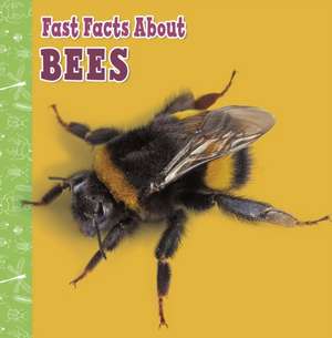 Fast Facts About Bees de Lisa J. Amstutz