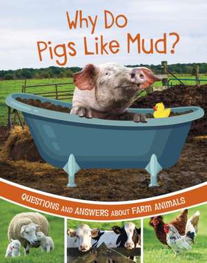 Why Do Pigs Like Mud? de Katherine Rawson