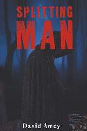 Amey, D: Splitting Man