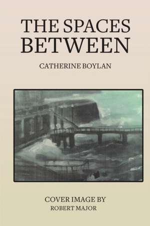 The Spaces Between de Catherine Boylan