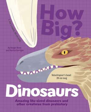 How Big? Dinosaurs de Dougal Dixon