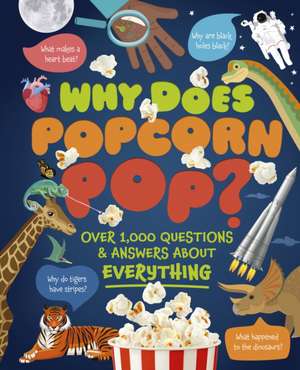 Why Does Popcorn Pop? de Anne Rooney