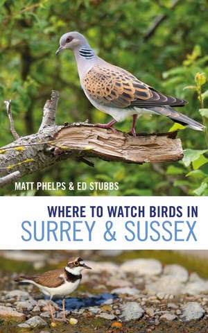 Where to Watch Birds in Surrey and Sussex de Matthew Phelps