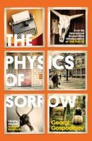 The Physics of Sorrow de Georgi Gospodinov