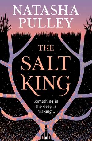 The Salt King: An end of the world thriller, packed with dazzling wit and romance de Natasha Pulley