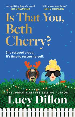 Is That You, Beth Cherry?: the warm and witty new novel from the author of Irresponsible Adult de Lucy Dillon