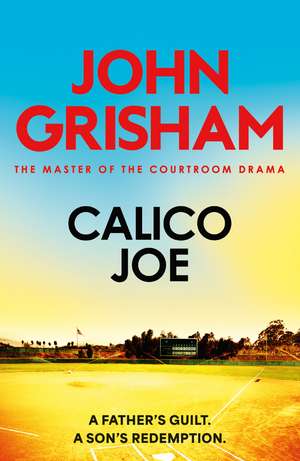 Calico Joe: The unforgettable family drama from the number 1 Sunday Times bestselling author de John Grisham