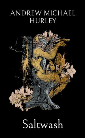 Saltwash de Andrew Michael Hurley