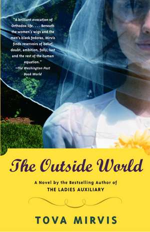 The Outside World de Tova Mirvis