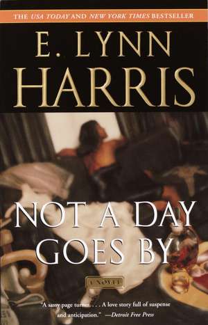 Not a Day Goes by de E. Lynn Harris