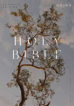 NRSV Catholic Edition Bible, Eucalyptus Hardcover (Global Cover Series): Holy Bible de Catholic Bible Press