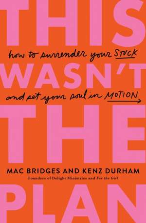 This Wasn't the Plan de Mac Bridges