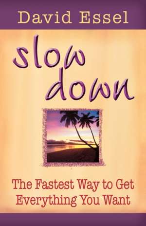 Slow Down de David Essel