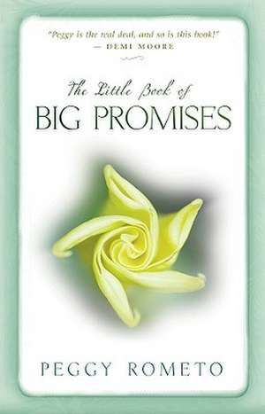 The Little Book of Big Promises de Peggy Rometo