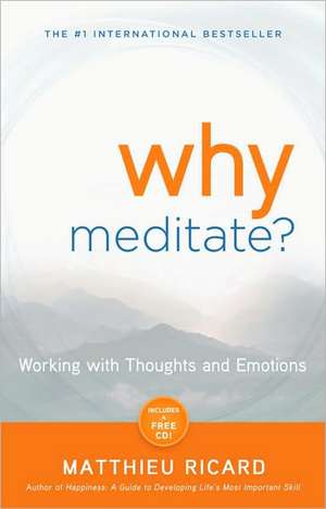 Why Meditate? de Matthieu Ricard