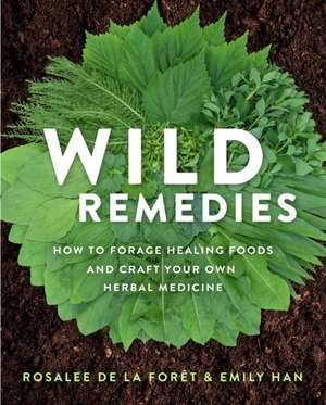 Wild Remedies de Rosalee de la Forêt