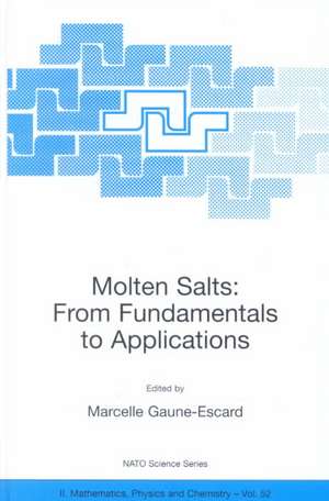 Molten Salts: From Fundamentals to Applications de Marcelle Gaune-Escard