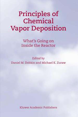 Principles of Chemical Vapor Deposition de D.M. Dobkin