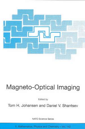 Magneto-Optical Imaging de Tom H. Johansen