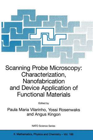 Scanning Probe Microscopy: Characterization, Nanofabrication and Device Application of Functional Materials: Proceedings of the NATO Advanced Study Institute on Scanning Probe Microscopy: Characterization, Nanofabrication and Device Application of Functional Materials, Algarve, Portugal, 1 - 13 October 2002 de Paula M. Vilarinho