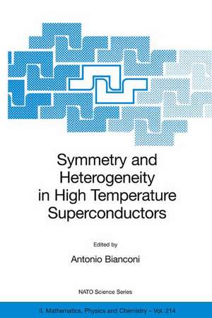 Symmetry and Heterogeneity in High Temperature Superconductors de Antonio Bianconi