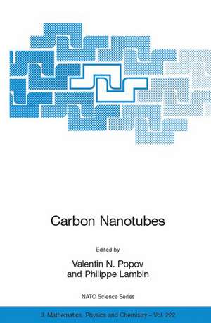 Carbon Nanotubes: From Basic Research to Nanotechnology de Valentin N. Popov