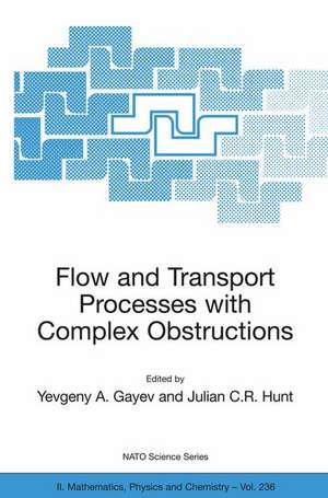 Flow and Transport Processes with Complex Obstructions: Applications to Cities, Vegetative Canopies and Industry de Yevgeny A. Gayev