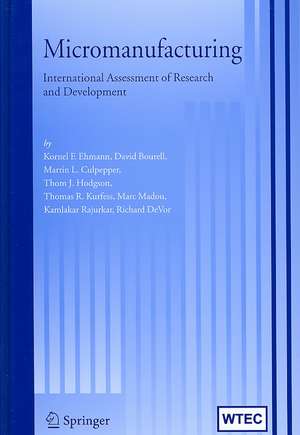 Micromanufacturing: International Research and Development de Kornel F. Ehmann