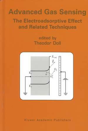 Advanced Gas Sensing: The Electroadsorptive Effect and Related Techniques de Theodor Doll