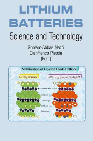 Lithium Batteries: Science and Technology de Gholam-Abbas Nazri