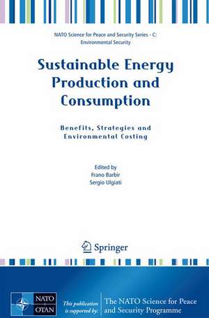 Sustainable Energy Production and Consumption: Benefits, Strategies and Environmental Costing de Frano Barbir