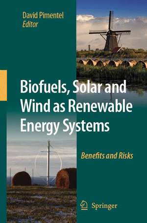 Biofuels, Solar and Wind as Renewable Energy Systems: Benefits and Risks de D. Pimentel