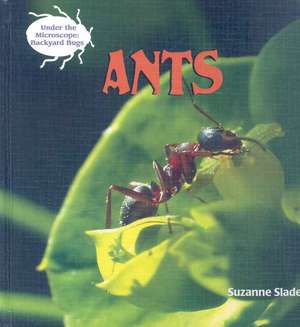 Ants de Suzanne Slade