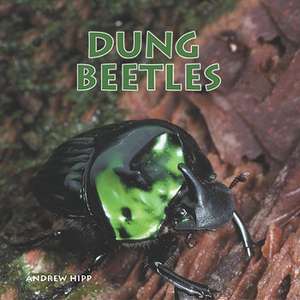 Dung Beetles de Andrew Hipp