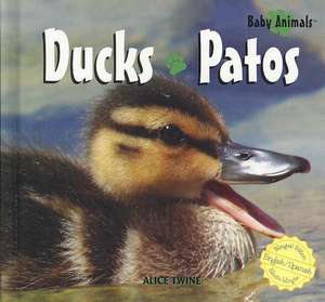 Ducks/Patos de Alice Twine