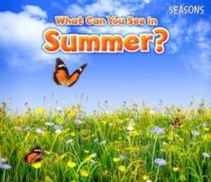 What Can You See In Summer? de Sian Smith